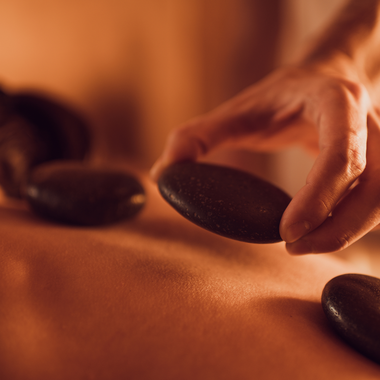 Body Treatments Collection